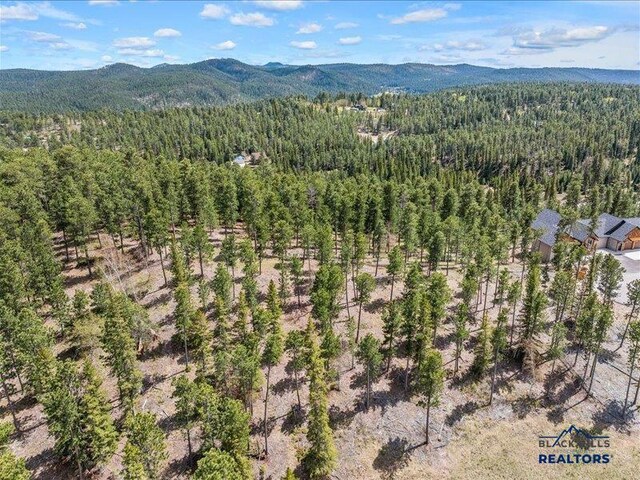 11315 Overlook Ct, Lead, SD 57754