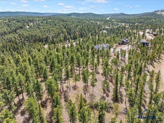11315 Overlook Ct, Lead, SD 57754