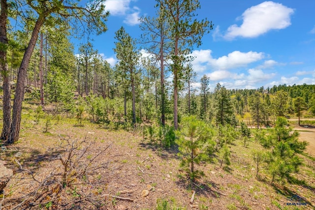 TBD Maitland Rd Lot 78, Lead, SD 57754