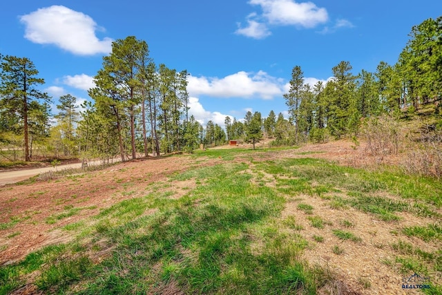 TBD Maitland Rd Lot 78, Lead, SD 57754
