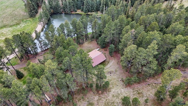 21466 Tin Cup Ln, Deadwood, SD 57732