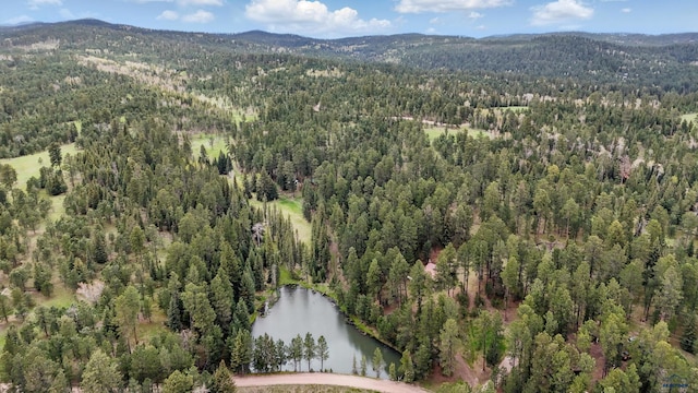 21466 Tin Cup Ln, Deadwood, SD 57732