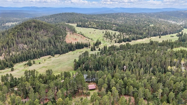 21466 Tin Cup Ln, Deadwood, SD 57732