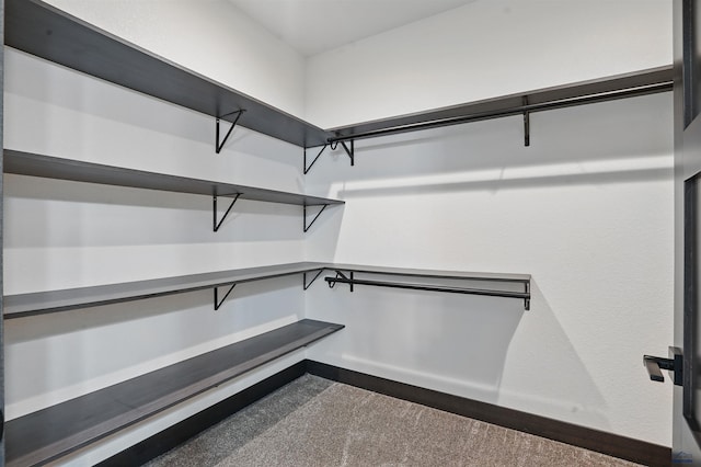 12290 Prairie View Loop, Whitewood, SD 57793 - spacious closet with pet washing area and carpet floors