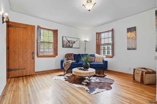 902 Fulton St, Rapid City, SD 57701 - living room featuring wood-type flooring and baseboards