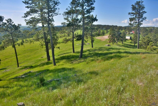 14450 Edgewood Pl, Piedmont, SD 57769 - view of yard with a view of countryside