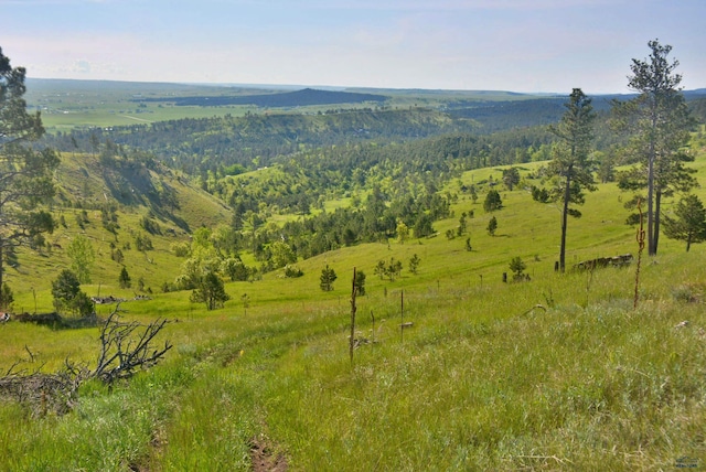 14450 Edgewood Pl, Piedmont, SD 57769 - view of mountain backdrop