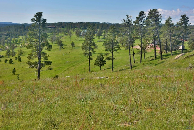 14450 Edgewood Pl, Piedmont, SD 57769 - view of undeveloped land