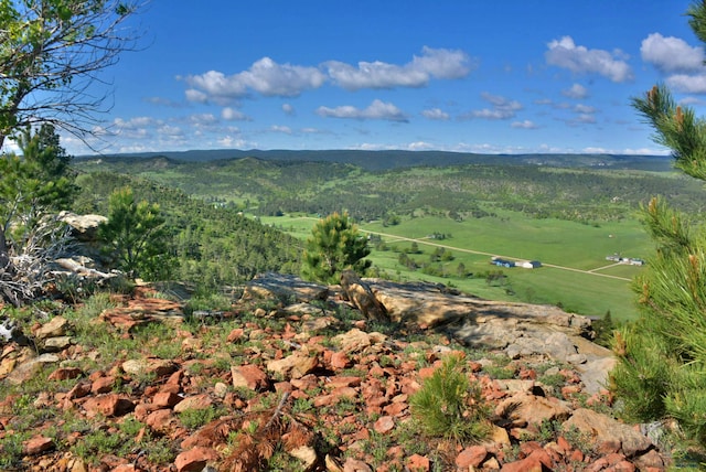 14450 Edgewood Pl, Piedmont, SD 57769 - view of mountain background