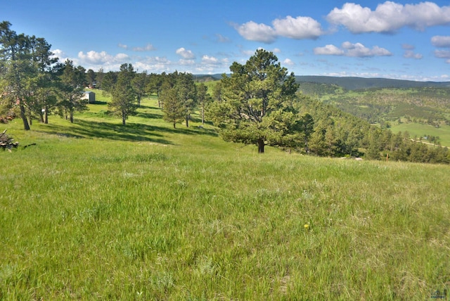 14450 Edgewood Pl, Piedmont, SD 57769 - view of yard featuring a rural view