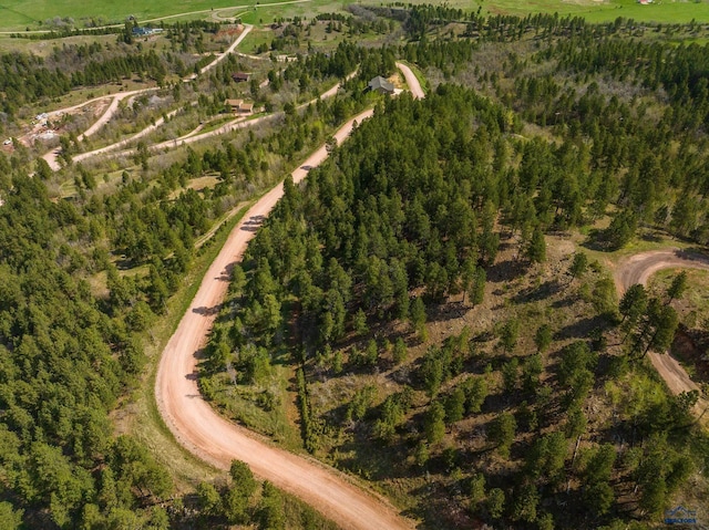 2810 Centennial Vista Ave, Spearfish, SD 57783