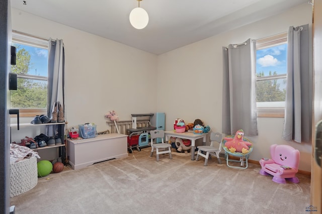 701 Hustead St, Wall, SD 57790 - game room with healthy amount of natural light and carpet