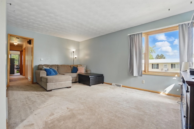 701 Hustead St, Wall, SD 57790 - living room featuring carpet flooring and baseboards