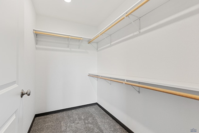 3053 Hoefer Ave, Rapid City, SD 57701 - walk in closet with carpet floors