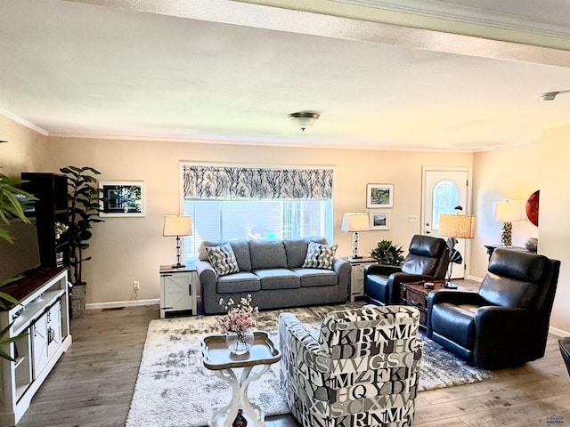 1222 Foothill Dr, Spearfish, SD 57783 - living area with crown molding, wood finished floors, plenty of natural light, and baseboards