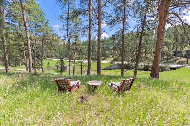 13741 Chipmunk Pl, Rapid City, SD 57702 - view of yard