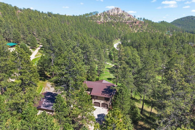 13741 Chipmunk Pl, Rapid City, SD 57702 - bird's eye view of a heavily wooded area and a mountain backdrop