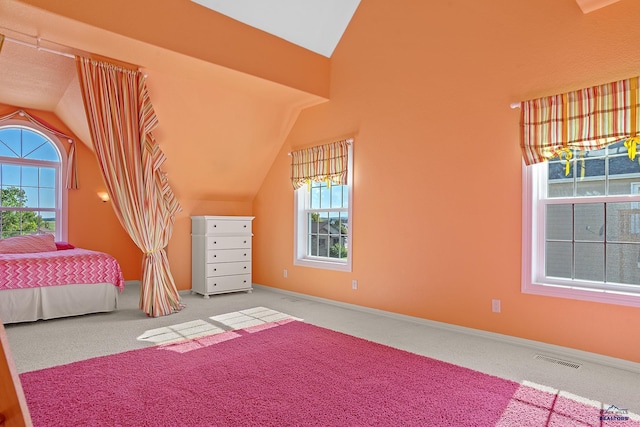 1120 S Regency Ct, Rapid City, SD 57702 - bedroom featuring vaulted ceiling, carpet flooring, multiple windows, and baseboards