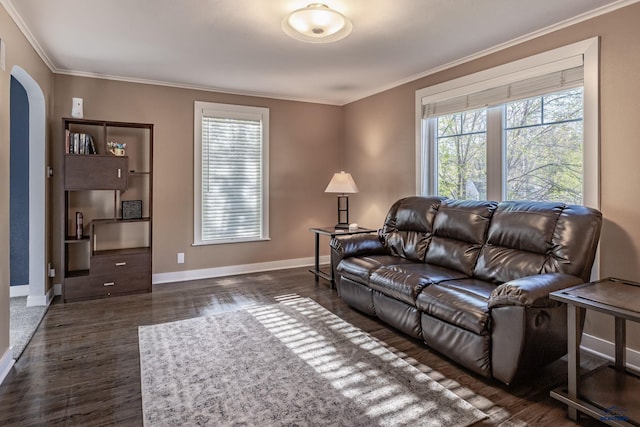 1316 Clark, Rapid City, SD 57701 - living area with arched walkways, crown molding, dark wood-style flooring, and baseboards