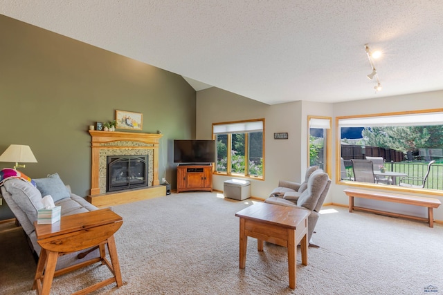 4941 Springtree Ct, Rapid City, SD 57702 - carpeted living room featuring a glass covered fireplace, a textured ceiling, rail lighting, and vaulted ceiling