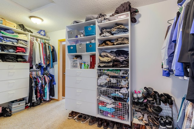 4941 Springtree Ct, Rapid City, SD 57702 - spacious closet with attic access and carpet
