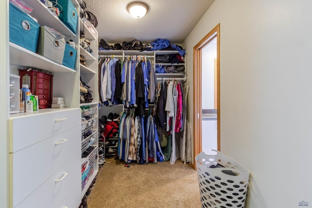 4941 Springtree Ct, Rapid City, SD 57702 - walk in closet with carpet floors