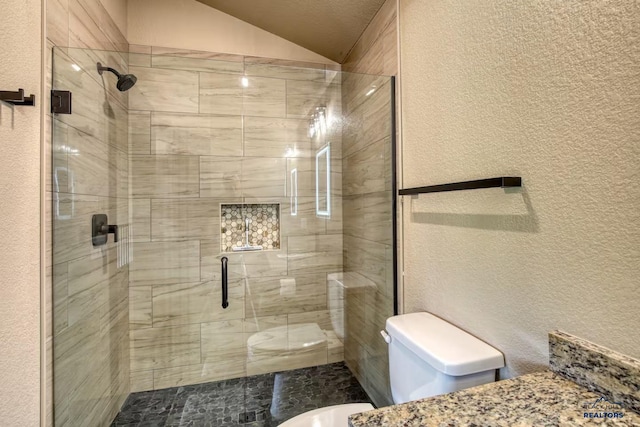 20746 Monte Carlo Rd, Lead, SD 57754 - full bath featuring lofted ceiling, a shower stall, a textured wall, and vanity