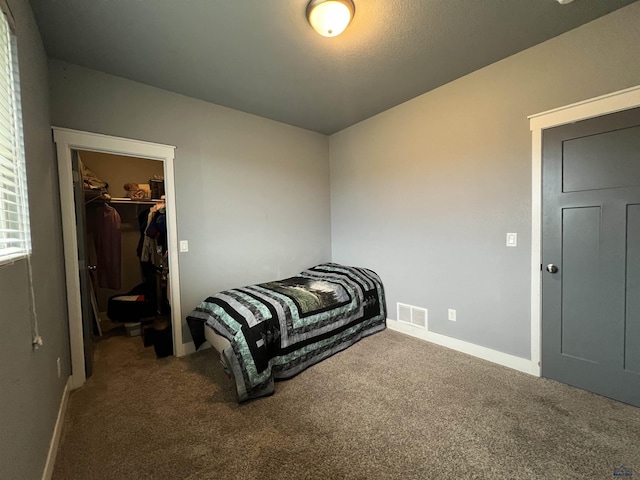 10049 Kaelem Ct, Summerset, SD 57718 - carpeted bedroom featuring a spacious closet and a closet