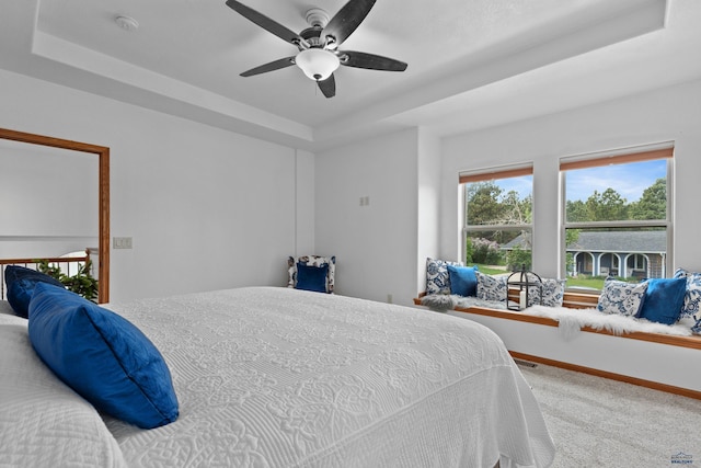 6401 Mountain Meadow Rd, Black Hawk, SD 57718 - bedroom with a raised ceiling, carpet, and a ceiling fan