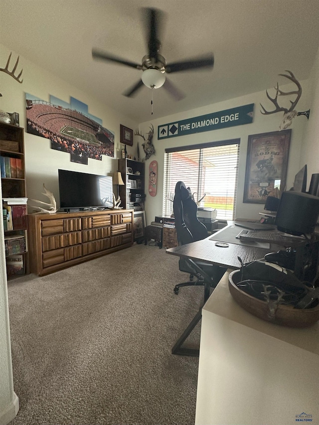 215 Aurora Ave, Spearfish, SD 57783 - home office with carpet flooring and a ceiling fan
