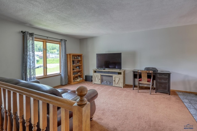 20 Mcmasters Dr, Deadwood, SD 57732 - living room featuring a textured ceiling and light carpet
