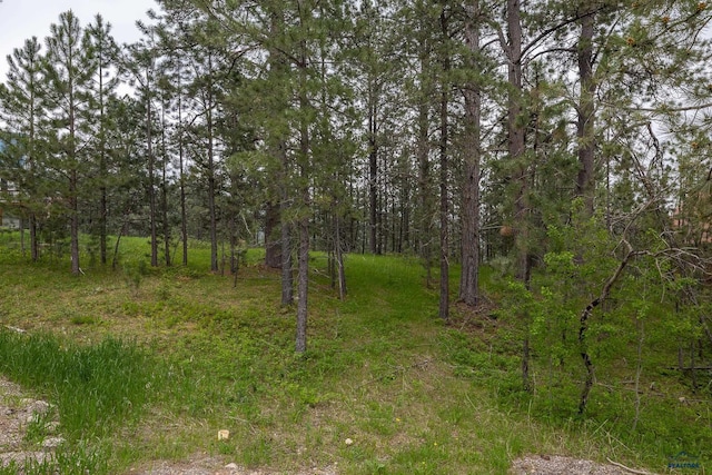 21220 Last Chance Trl, Lead, SD 57754