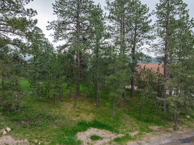 21220 Last Chance Trl, Lead, SD 57754