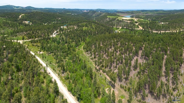 13.66ACRES Magpie Rd, Lead, SD 57754