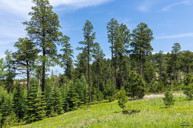 13.66ACRES Magpie Rd, Lead, SD 57754