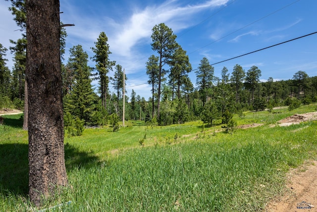 13.66ACRES Magpie Rd, Lead, SD 57754