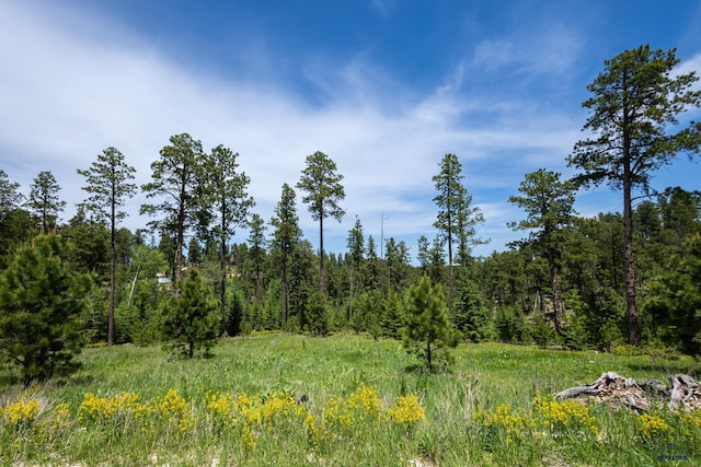 13.66ACRES Magpie Rd, Lead, SD 57754