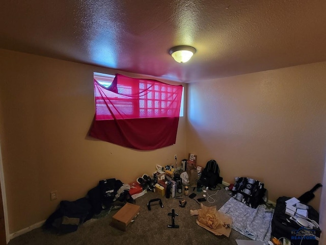 217 E Monroe St, Rapid City, SD 57701 - carpeted empty room with a textured ceiling