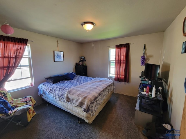217 E Monroe St, Rapid City, SD 57701 - view of carpeted bedroom