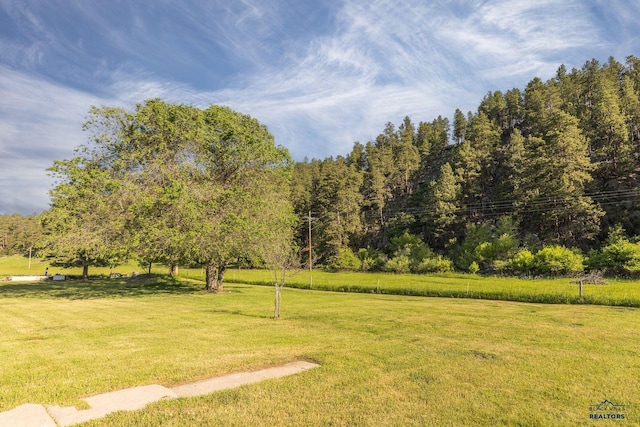 13000 Deer Creek Ln, Rapid City, SD 57702 - view of green lawn featuring a wooded view