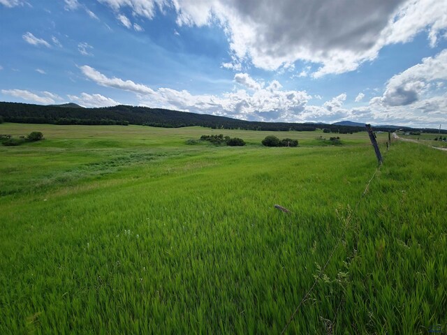 11877 Crook City Rd, Whitewood, SD 57793