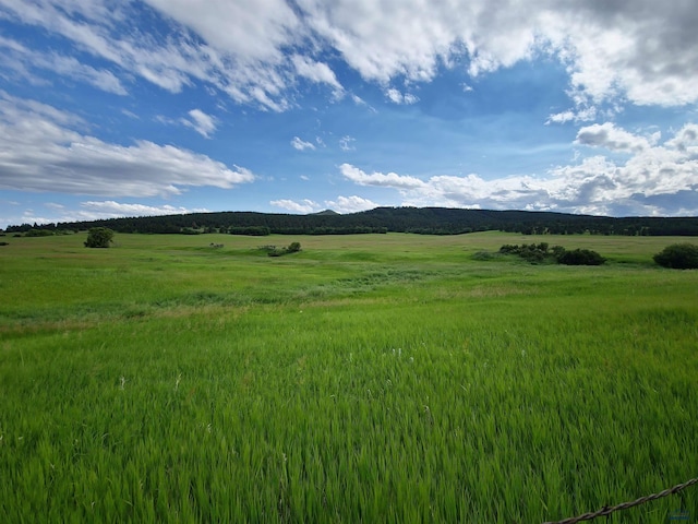 11877 Crook City Rd, Whitewood, SD 57793