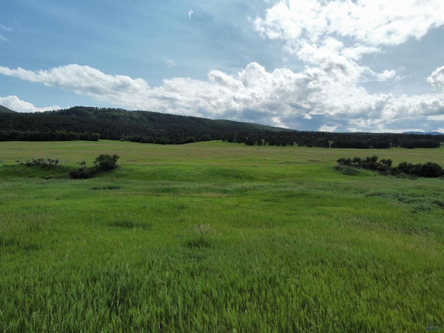 11877 Crook City Rd, Whitewood, SD 57793