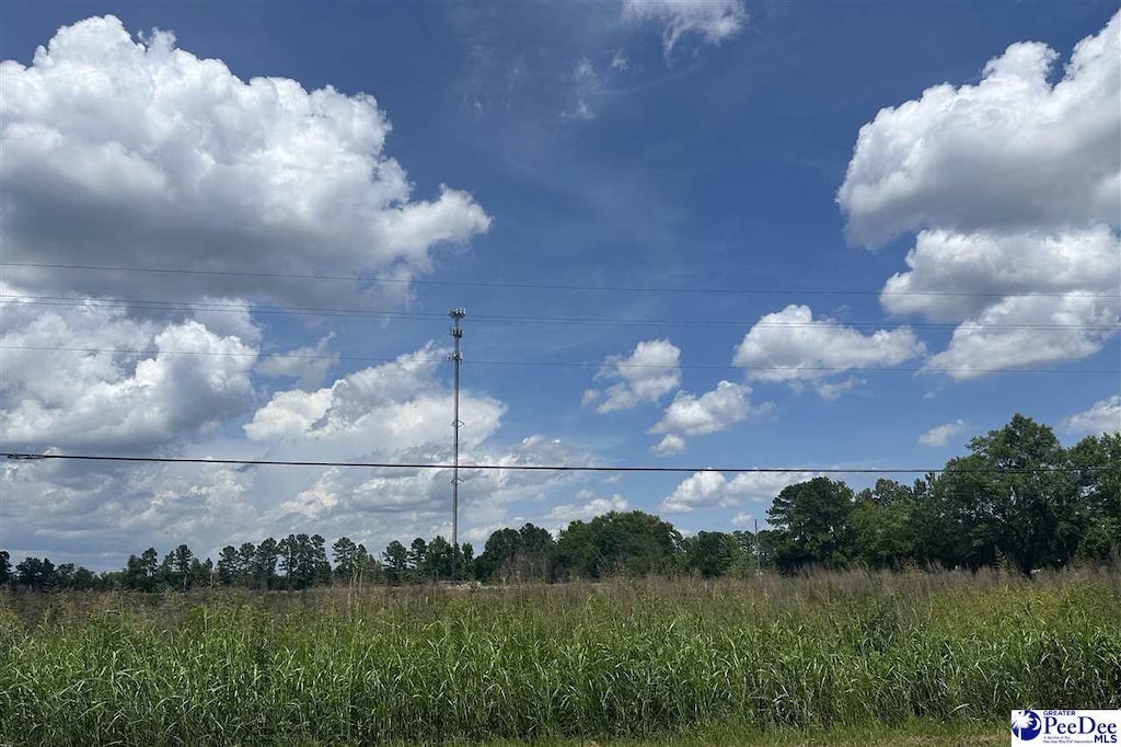 1335 Ruby Rd, Hartsville, SC 29550