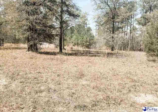 6325 Cartwheel Rd, Mullins SC, 29574 land for sale