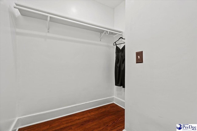 walk in closet with dark wood finished floors