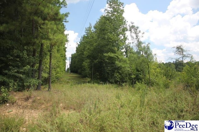 TBD3 Sweeney Rd, Chesterfield, SC 29709 - photo 1