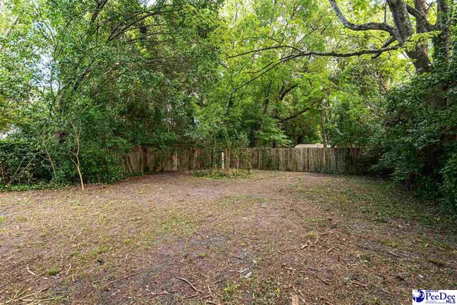 608 W Pine St, Florence, SC 29501 - photo 30