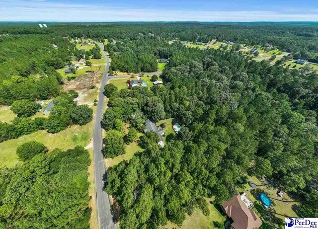2119 Bobwhite Ln, Hartsville, SC 29550 - photo 51