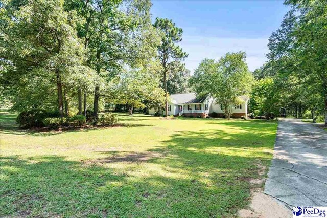 2119 Bobwhite Ln, Hartsville, SC 29550 - photo 47